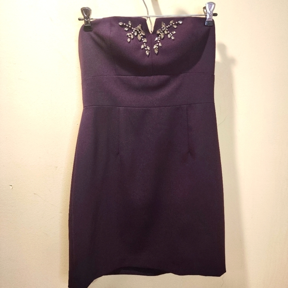 Maxandcleo Purple fitted mini dress size 6